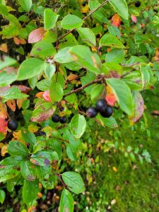 248_6ab6997f9a3c3.jpg